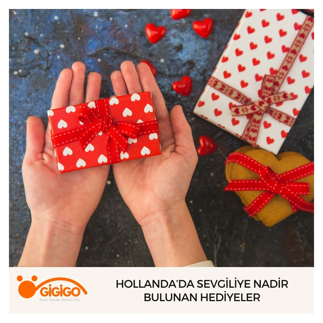 Hollanda’da Sevgiliye Nadir Bulunan Hediyeler
