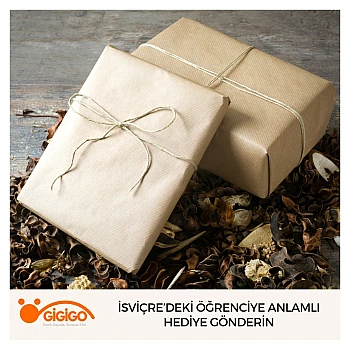 İsviçre’deki Öğrenciye Anlamlı Hediye Gönderin