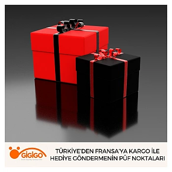 Türkiye’den Fransa’ya Kargo İle Hediye Göndermenin Püf Noktaları