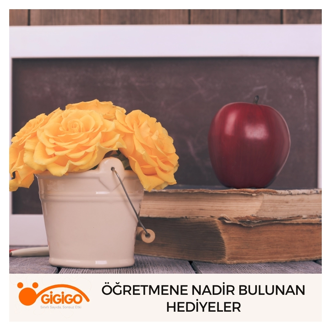 nadir Bulunan Doğal Yılbaşı Hediyeleri