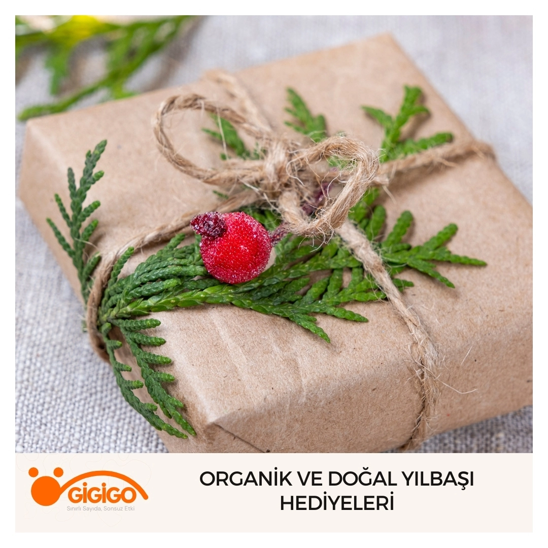 organik Malzemelerden Yapılmış Yılbaşı Hediyesi Çeşitleri