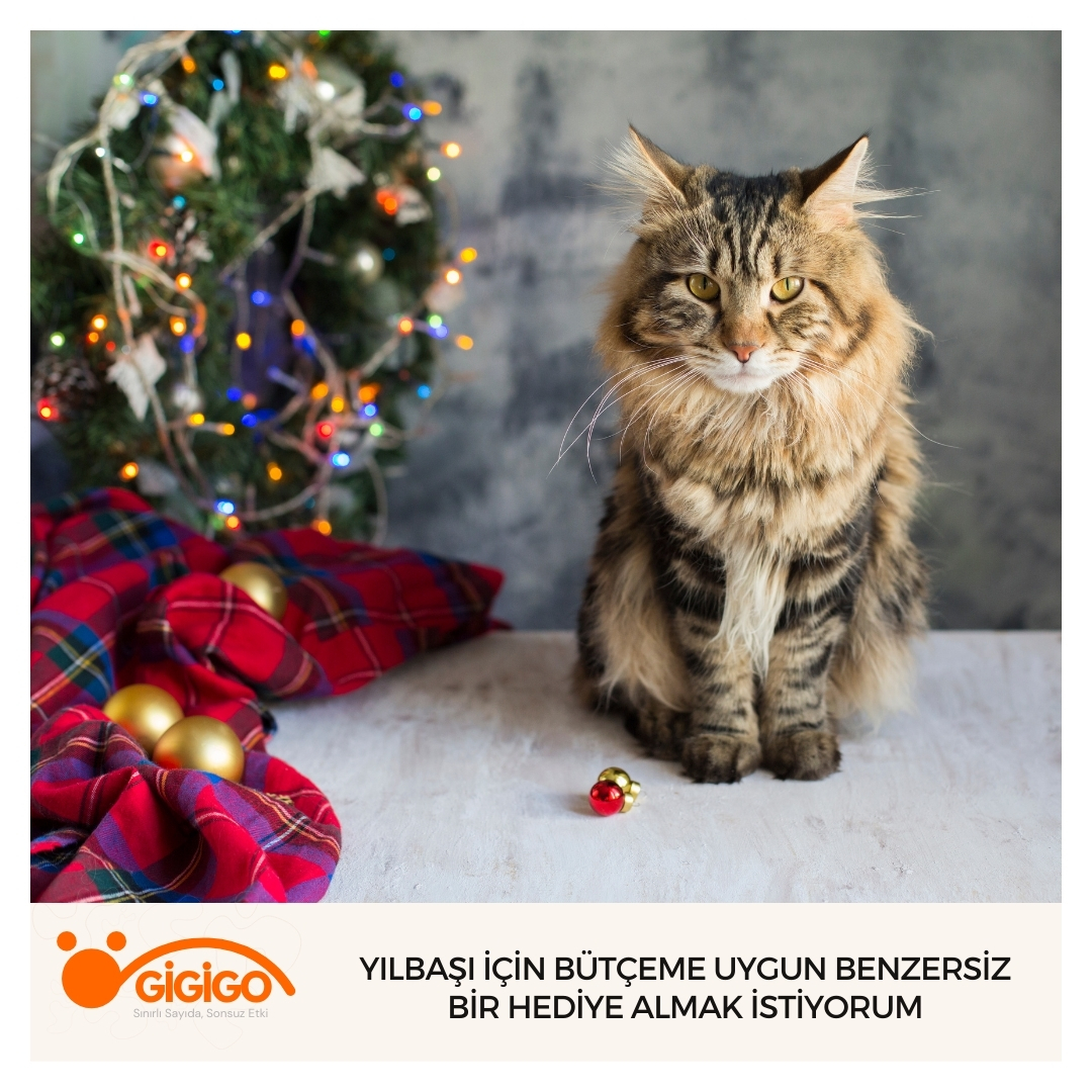 öğretmen İçin Doğal İçerikli Dekoratif Hediye Önerisi